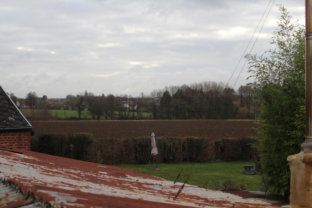 Maison D'Artiste Acces Jardin Maubeuge Extérieur photo