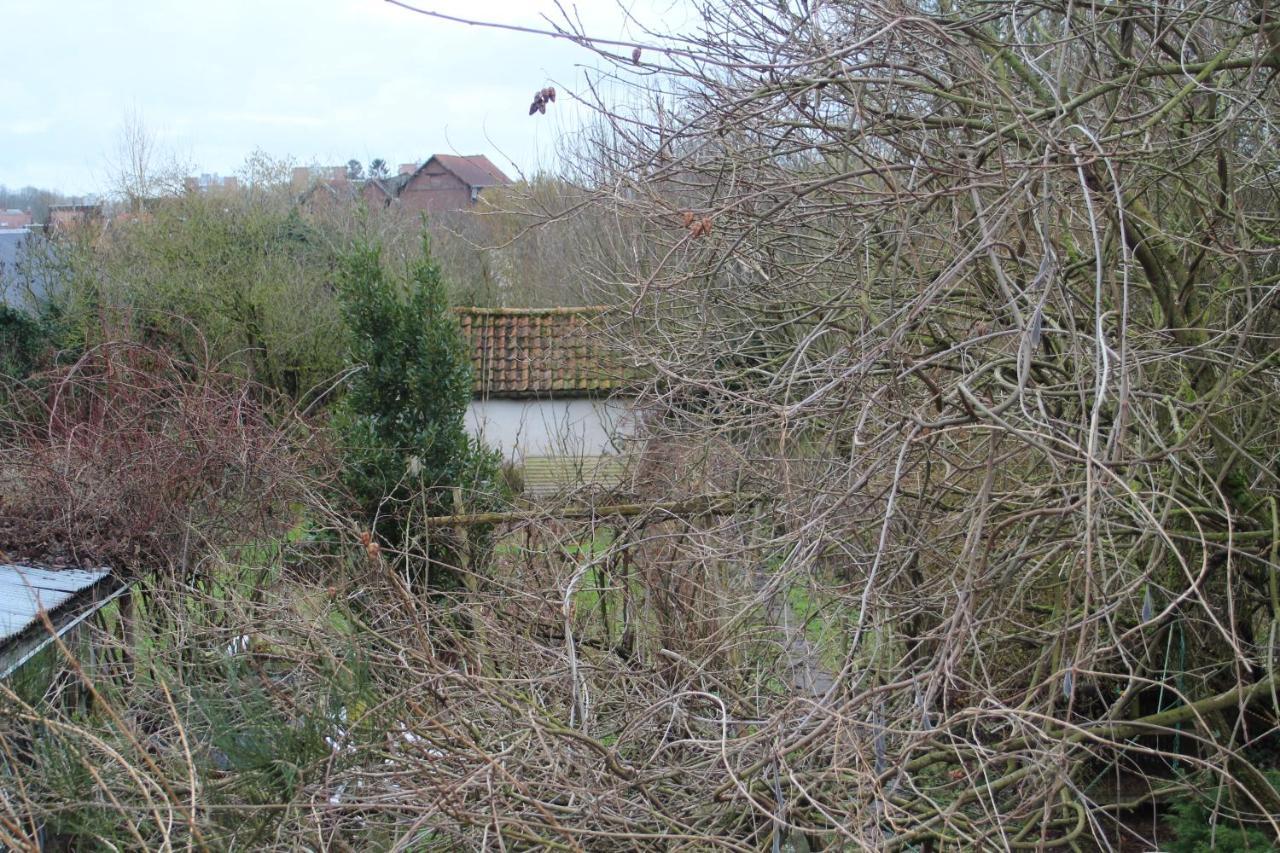 Maison D'Artiste Acces Jardin Maubeuge Extérieur photo
